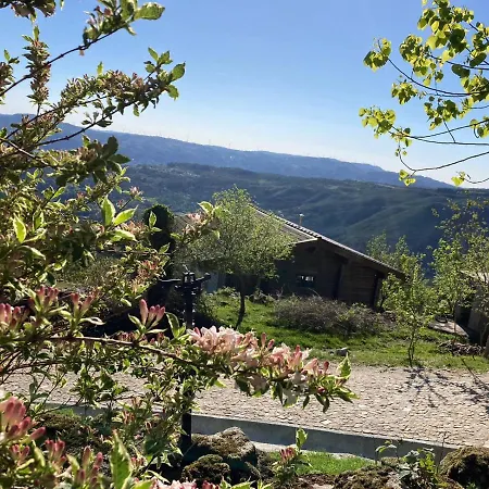 Mountain Log O Lobo 홀리데이파크 *