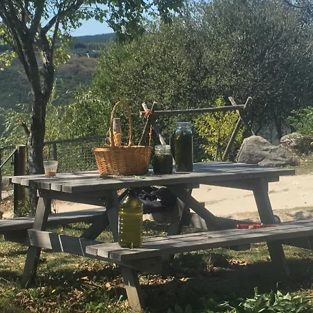 Mountain Log O Lobo *