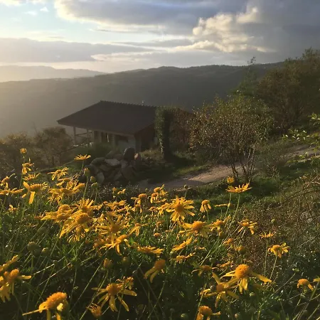 Mountain Log O Lobo منتزه العطل