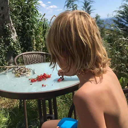 Mountain Log O Lobo 홀리데이파크 *