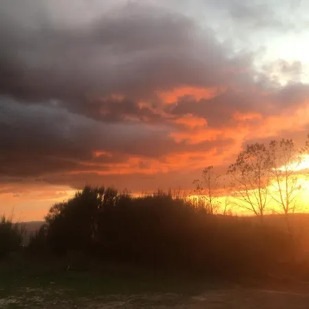 Mountain Log O Lobo *