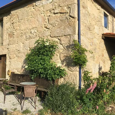 Mountain Log O Lobo *