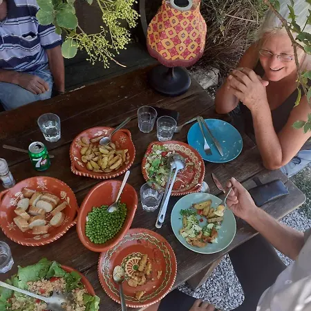 Mountain Log O Lobo *