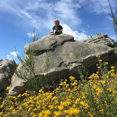 홀리데이파크 Mountain Log O Lobo *