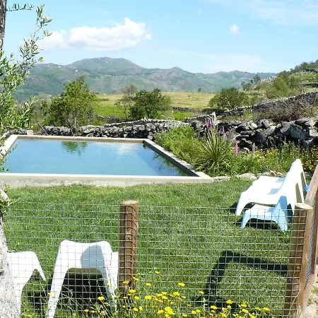 Mountain Log O Lobo *