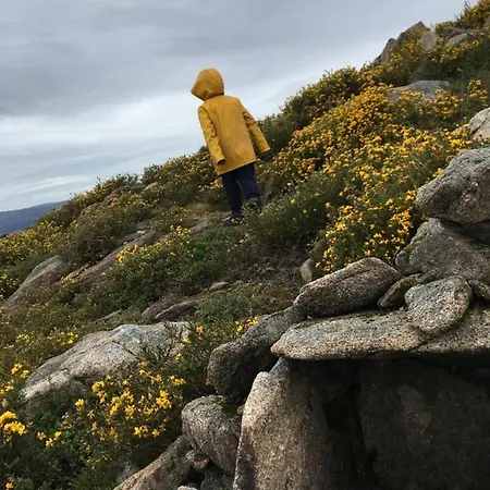 Mountain Log O Lobo Πάρκο διακοπών