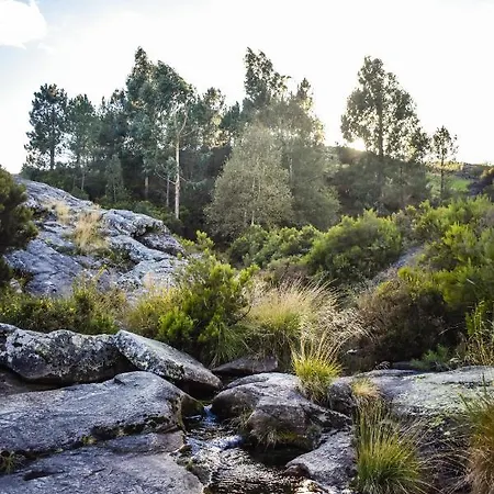 Mountain Log O Lobo 홀리데이파크