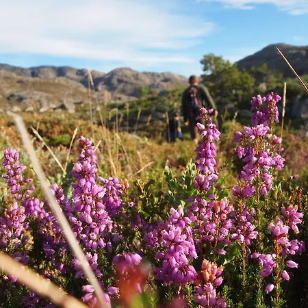 Πάρκο διακοπών Mountain Log O Lobo *