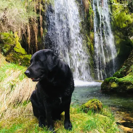 Πάρκο διακοπών Mountain Log O Lobo Cabeceiras de Basto
