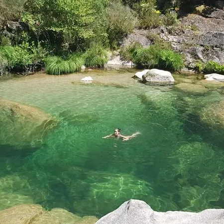 منتزه العطل Mountain Log O Lobo