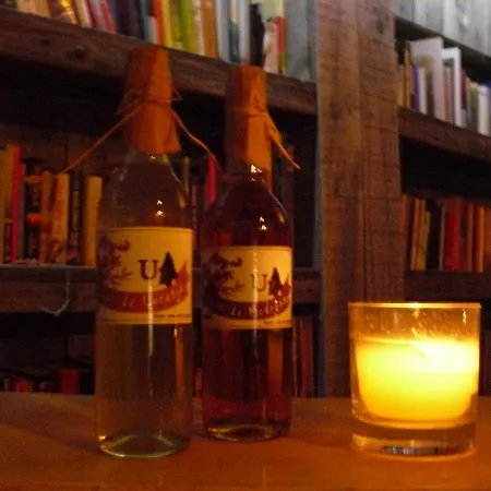 Mountain Log O Lobo * Cabeceiras de Basto