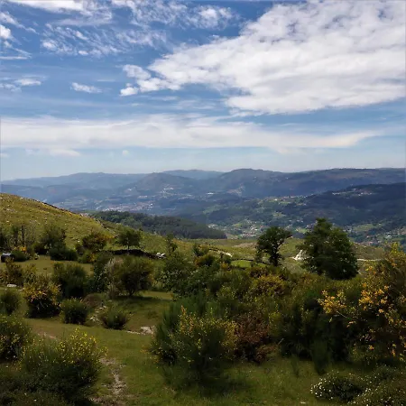 Mountain Log O Lobo *