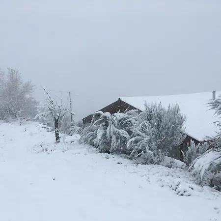 Mountain Log O Lobo كابيسيراس دى باستو