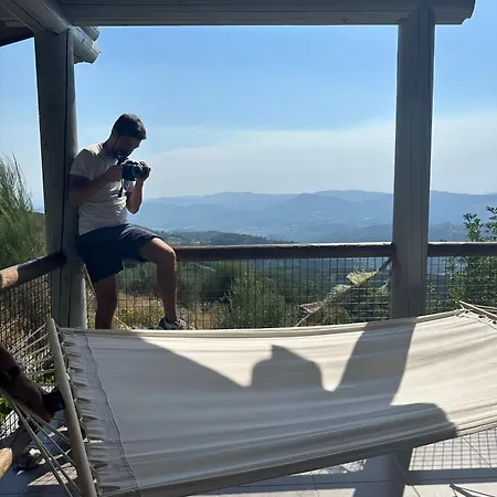 Mountain Log O Lobo *