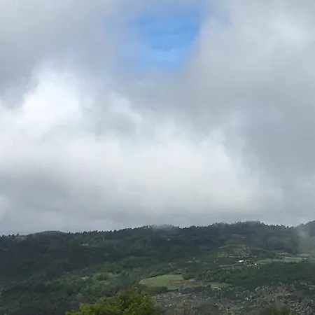 Mountain Log O Lobo