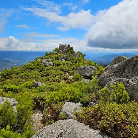 Mountain Log O Lobo Cabeceiras de Basto