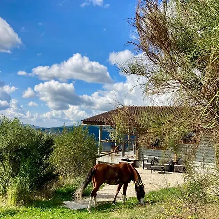 منتزه العطل Mountain Log O Lobo *