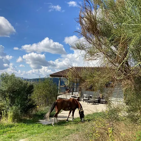Mountain Log O Lobo Holiday park