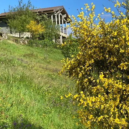 Mountain Log O Lobo * كابيسيراس دى باستو