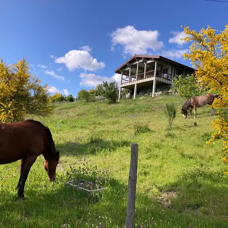 Mountain Log O Lobo * كابيسيراس دى باستو