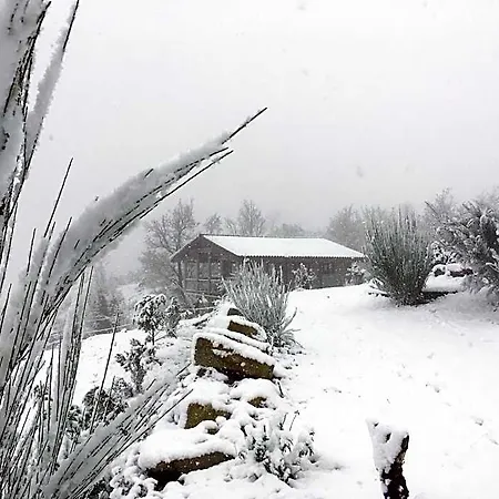 Mountain Log O Lobo Tatil parkı Cabeceiras de Basto