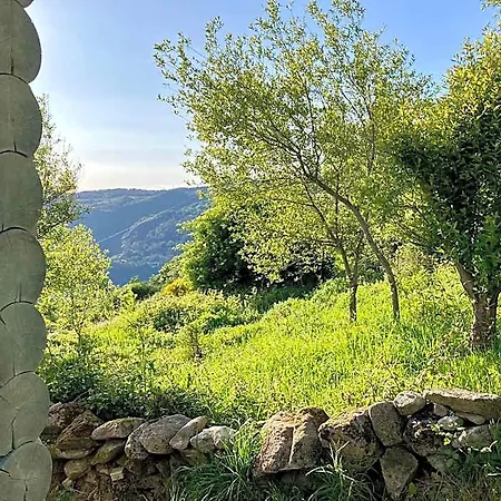 Mountain Log O Lobo Tatil parkı