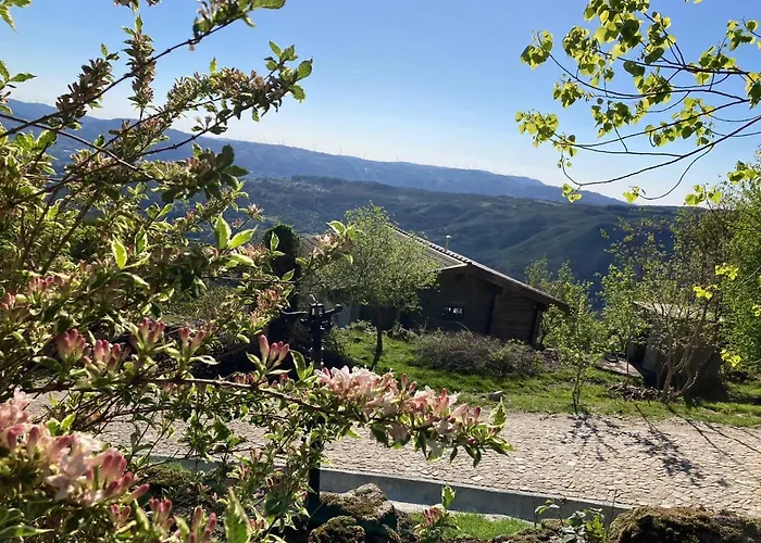 Mountain Log O Lobo Tatil parkı *