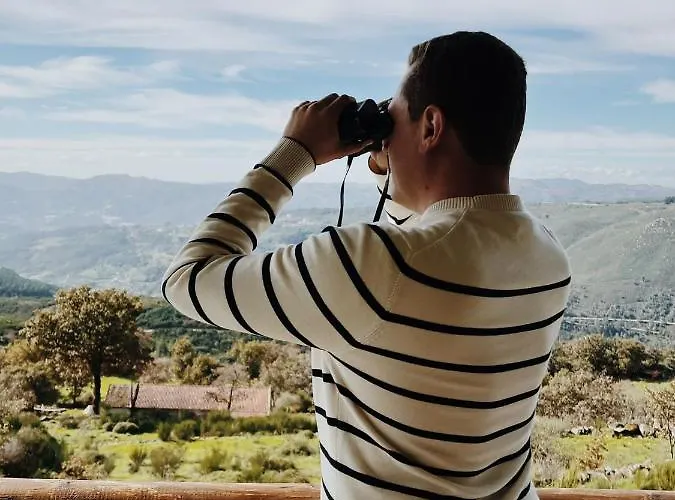 Mountain Log O Lobo Tatil parkı