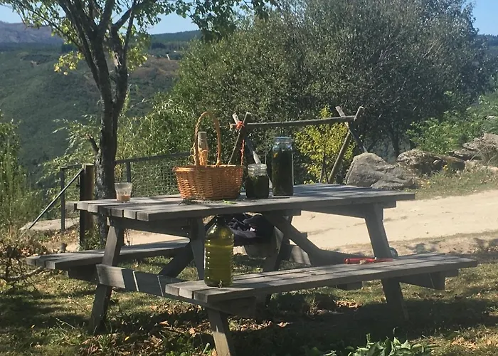 Mountain Log O Lobo *