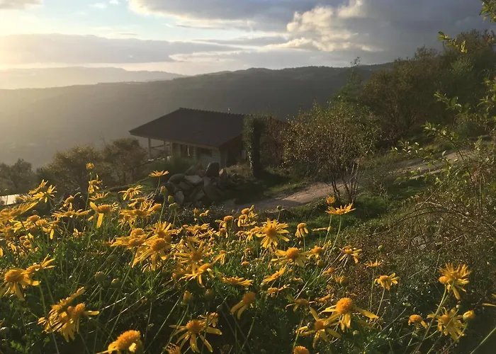 Mountain Log O Lobo Parco vacanze