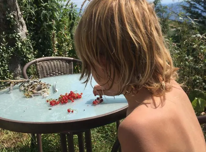 Mountain Log O Lobo Parco vacanze *