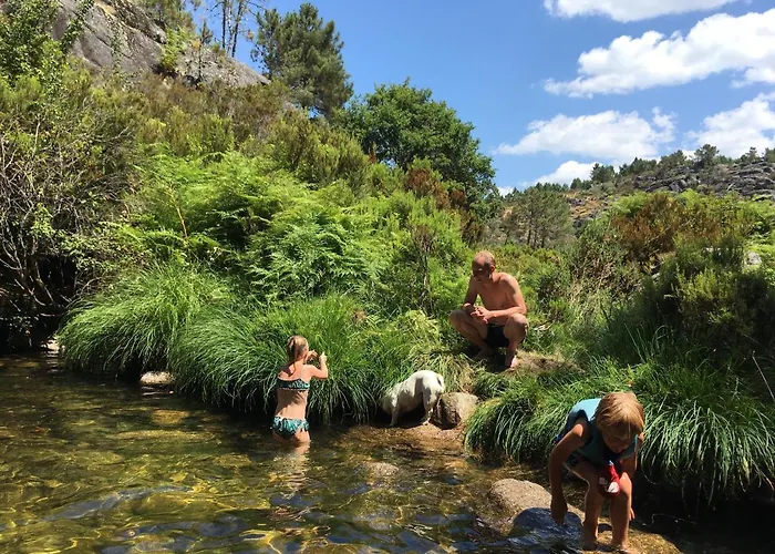 Mountain Log O Lobo Cabeceiras de Basto