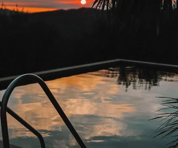 Mountain Log O Lobo Cabeceiras de Basto