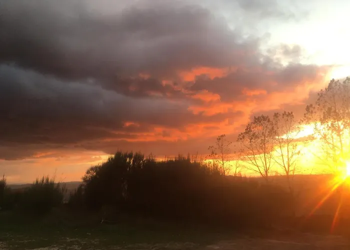 Mountain Log O Lobo *