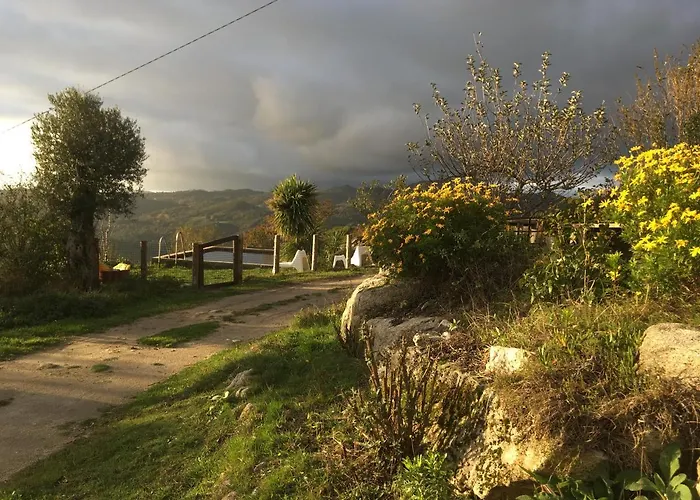 Mountain Log O Lobo Cabeceiras de Basto