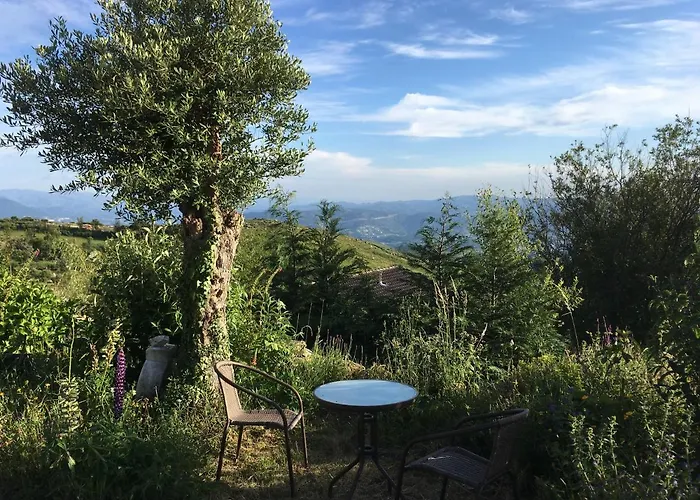 Mountain Log O Lobo Tatil parkı Cabeceiras de Basto