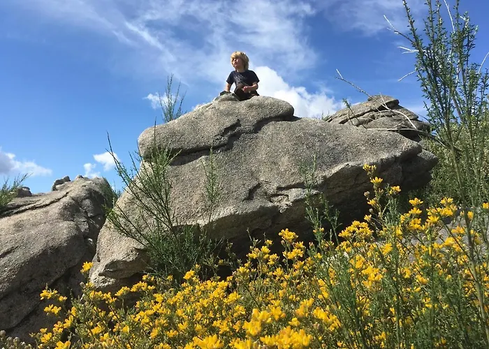 Tatil parkı Mountain Log O Lobo *