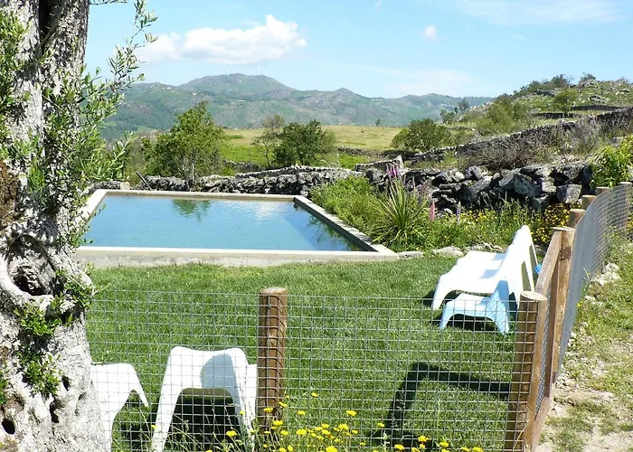 Mountain Log O Lobo *