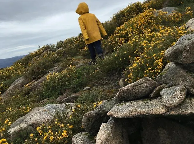 Mountain Log O Lobo Tatil parkı