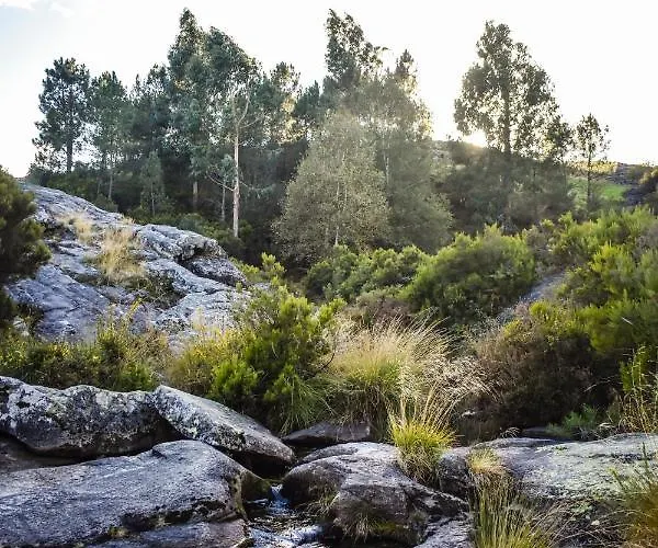 Mountain Log O Lobo Parco vacanze