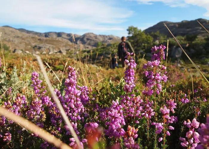 Parco vacanze Mountain Log O Lobo *