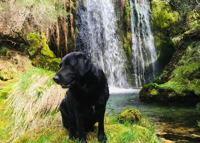 Parco vacanze Mountain Log O Lobo Cabeceiras de Basto