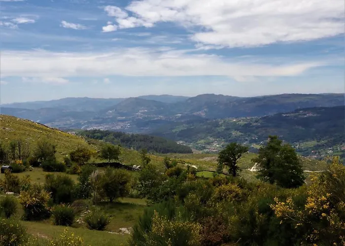 Mountain Log O Lobo *