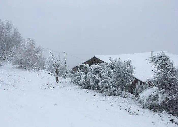 Mountain Log O Lobo Cabeceiras de Basto