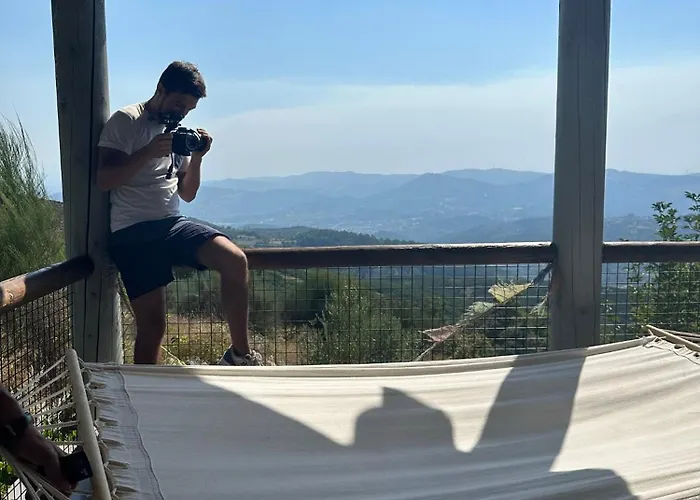 Mountain Log O Lobo *