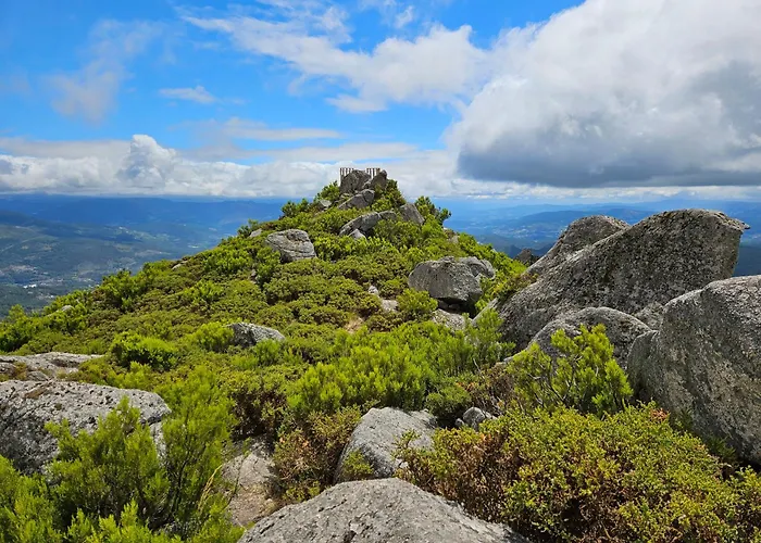 Mountain Log O Lobo Cabeceiras de Basto