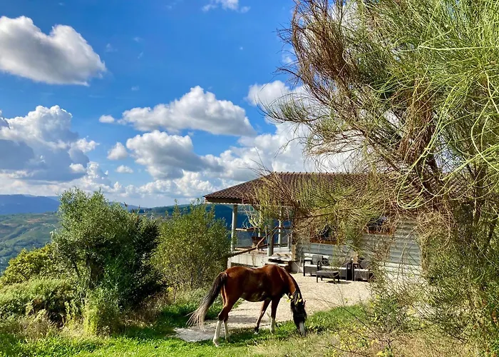 Parco vacanze Mountain Log O Lobo *