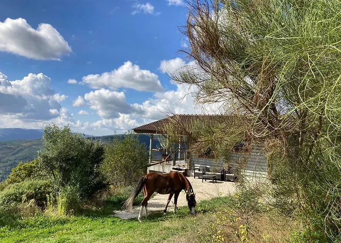 Mountain Log O Lobo Parco vacanze