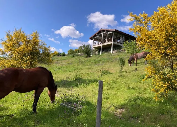 Mountain Log O Lobo * Cabeceiras de Basto